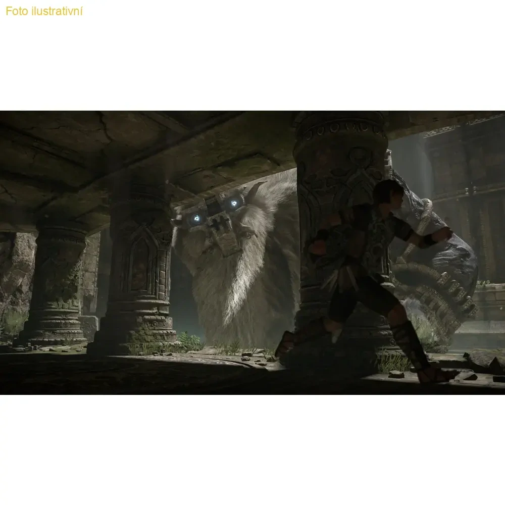 Shadow of the Colossus (PS4)