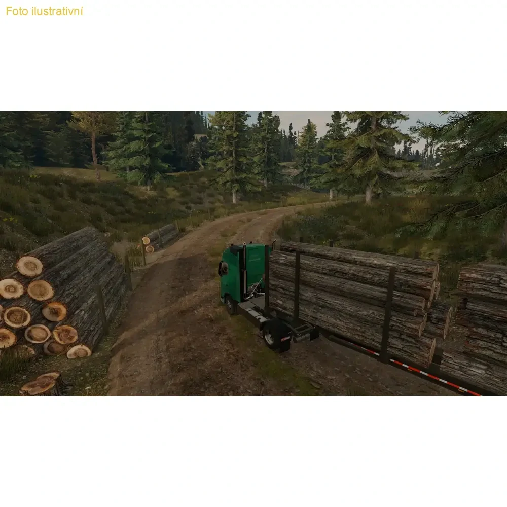 Truck Driver (PS4)