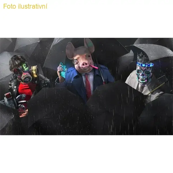 Watch Dogs Legion (PS5)