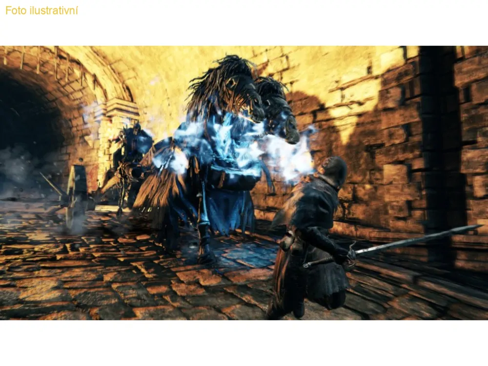 Dark Souls 2 (PS3)