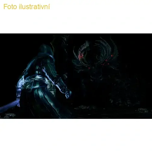 Dark Souls 2: Scholar of the First Sin (PS4)