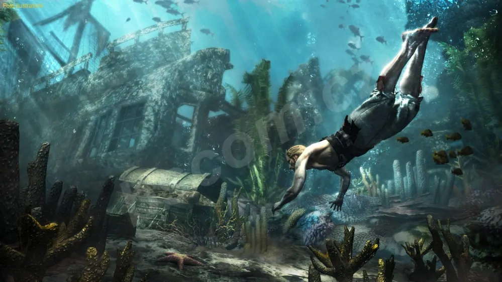 Assassin´s Creed IV Black Flag (PS4)