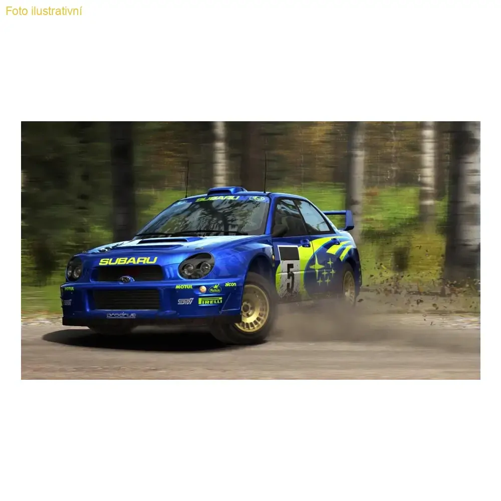 Dirt Rally (PS4)