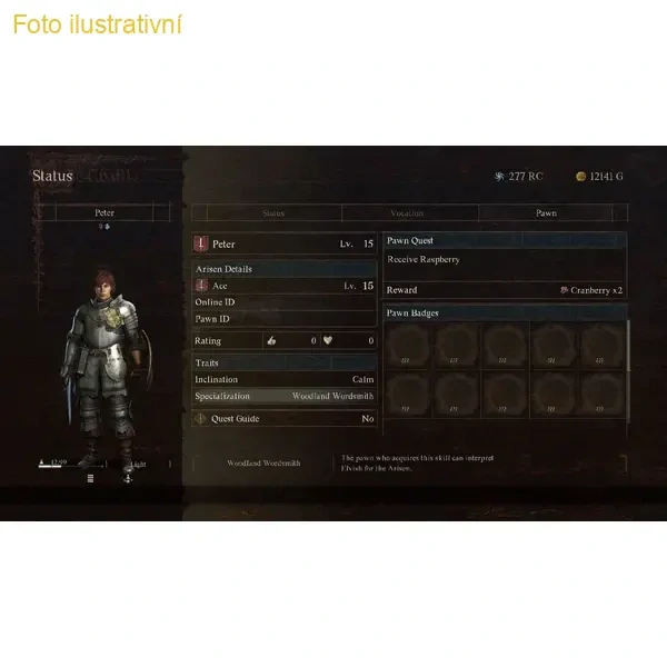 Dragon's Dogma 2 (PS5)