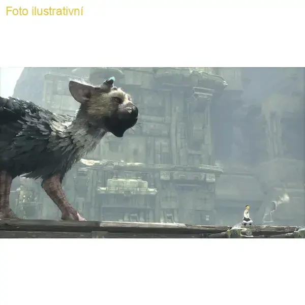 The Last Guardian (PS4)