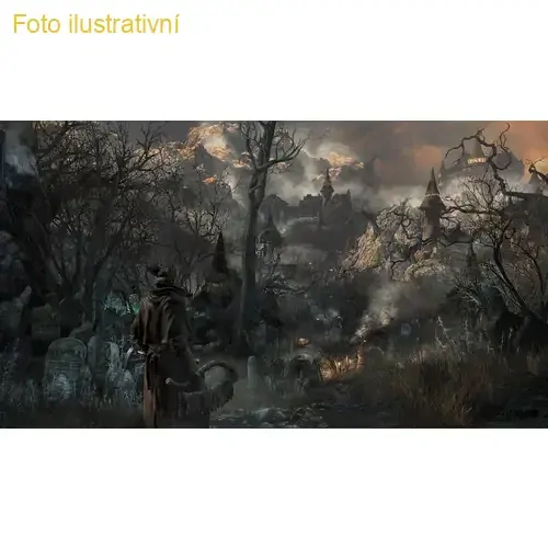 Bloodborne (PS HITS)(PS4)