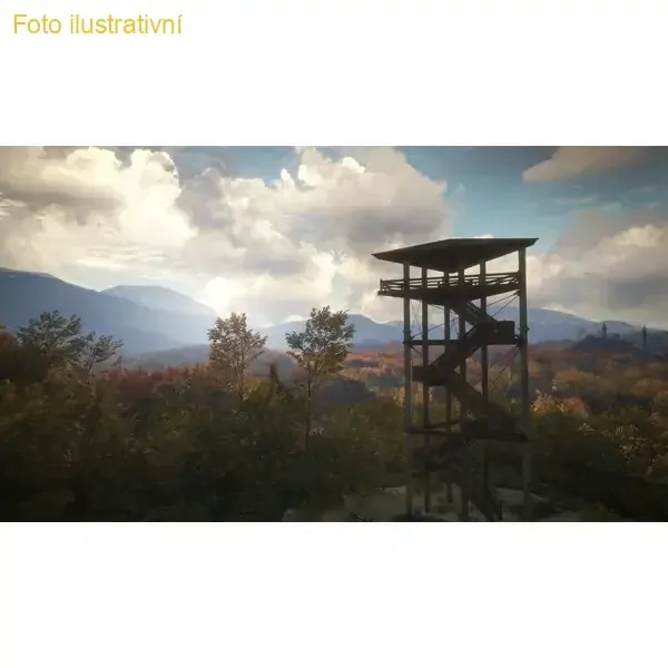 TheHunter: Call of the wild (PS4)