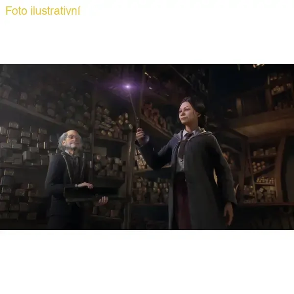 Hogwarts Legacy (PS5)