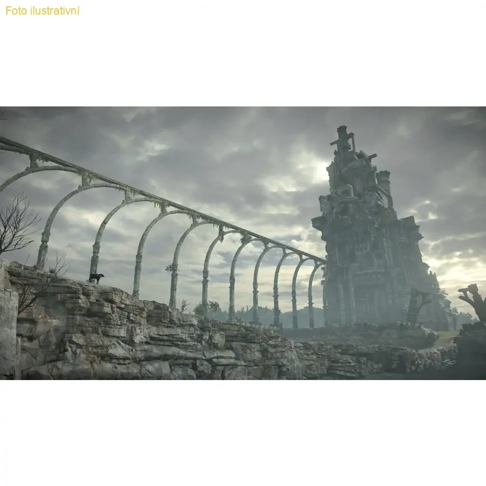 Shadow of the Colossus (PS4)