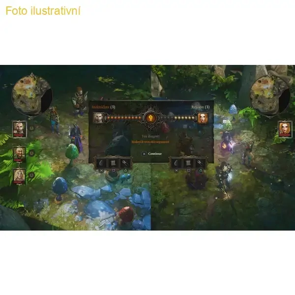 Divinity: Original Sin (PS4)