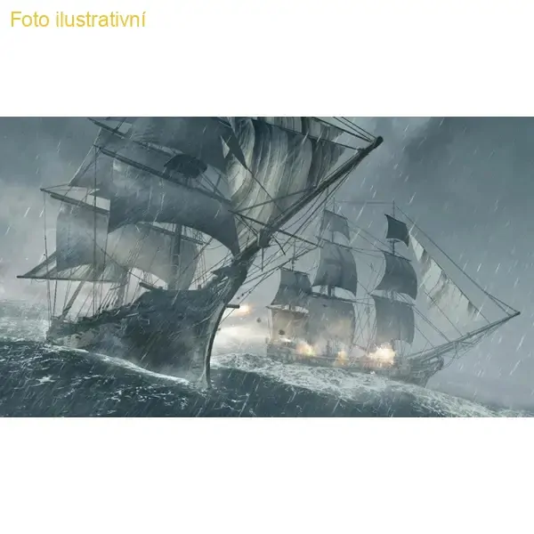 Assassin´s Creed IV Black Flag (PS HITS) (PS4)
