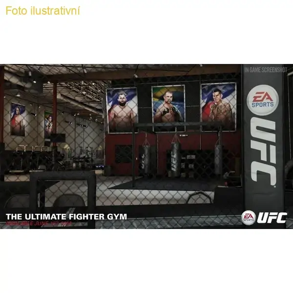 EA Sports UFC (PS4)