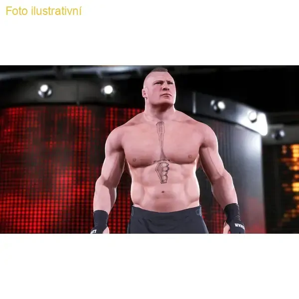 WWE 2K20 (PS4)
