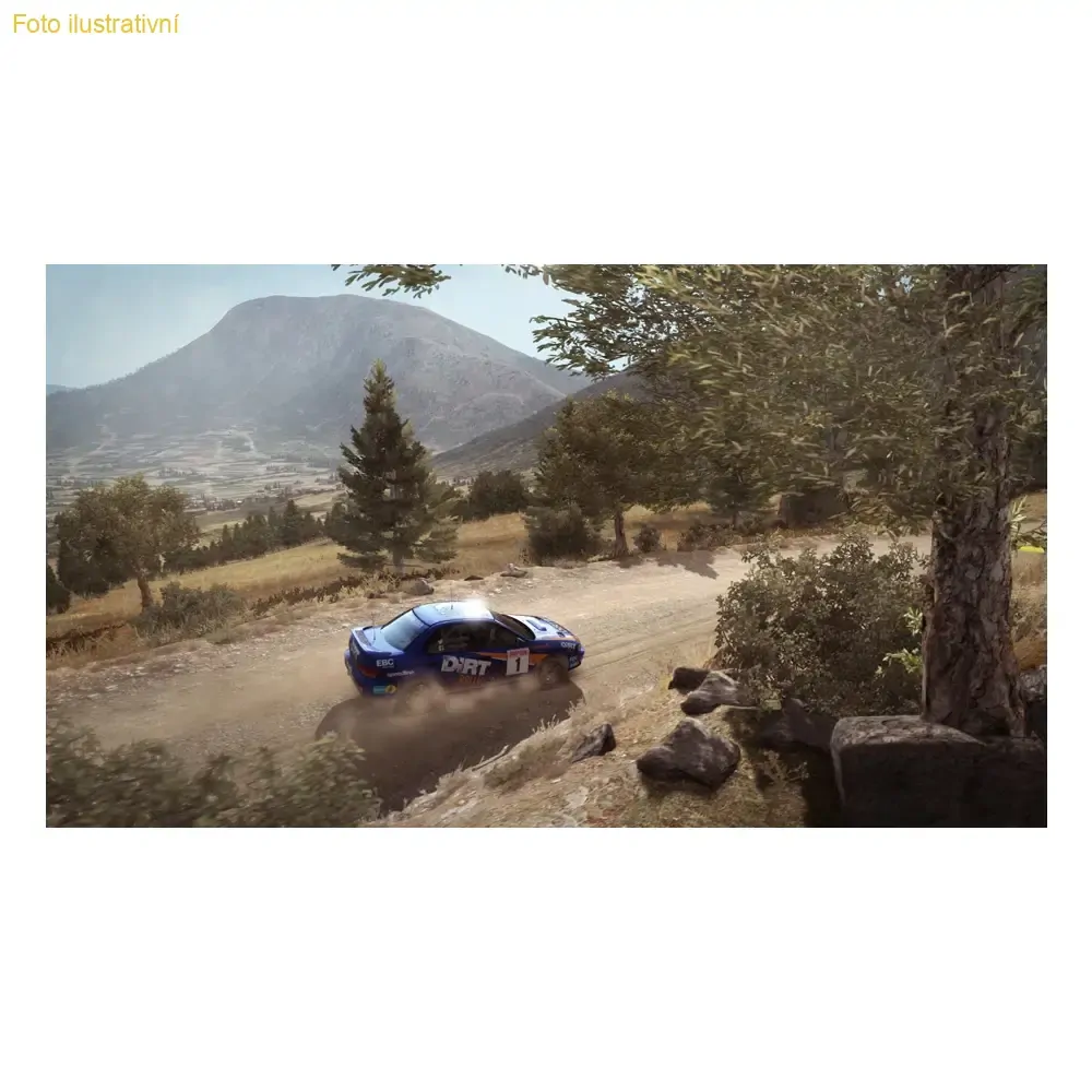 Dirt Rally (PS4)