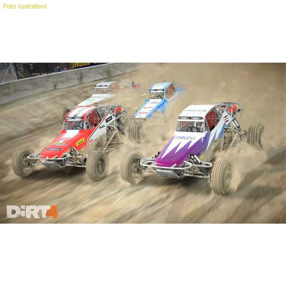 Dirt 4 (PS4)