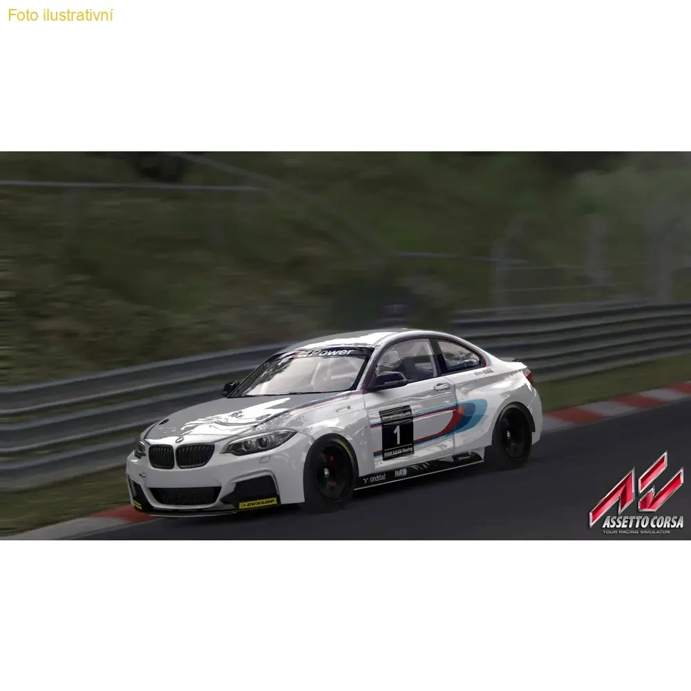 Assetto Corsa: Ultimate Edition (PS4)