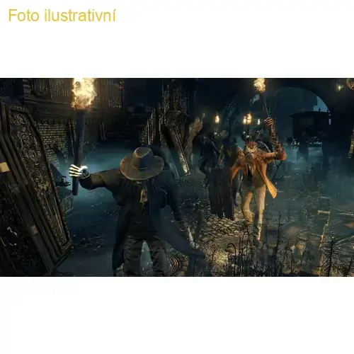 Bloodborne (PS HITS)(PS4)