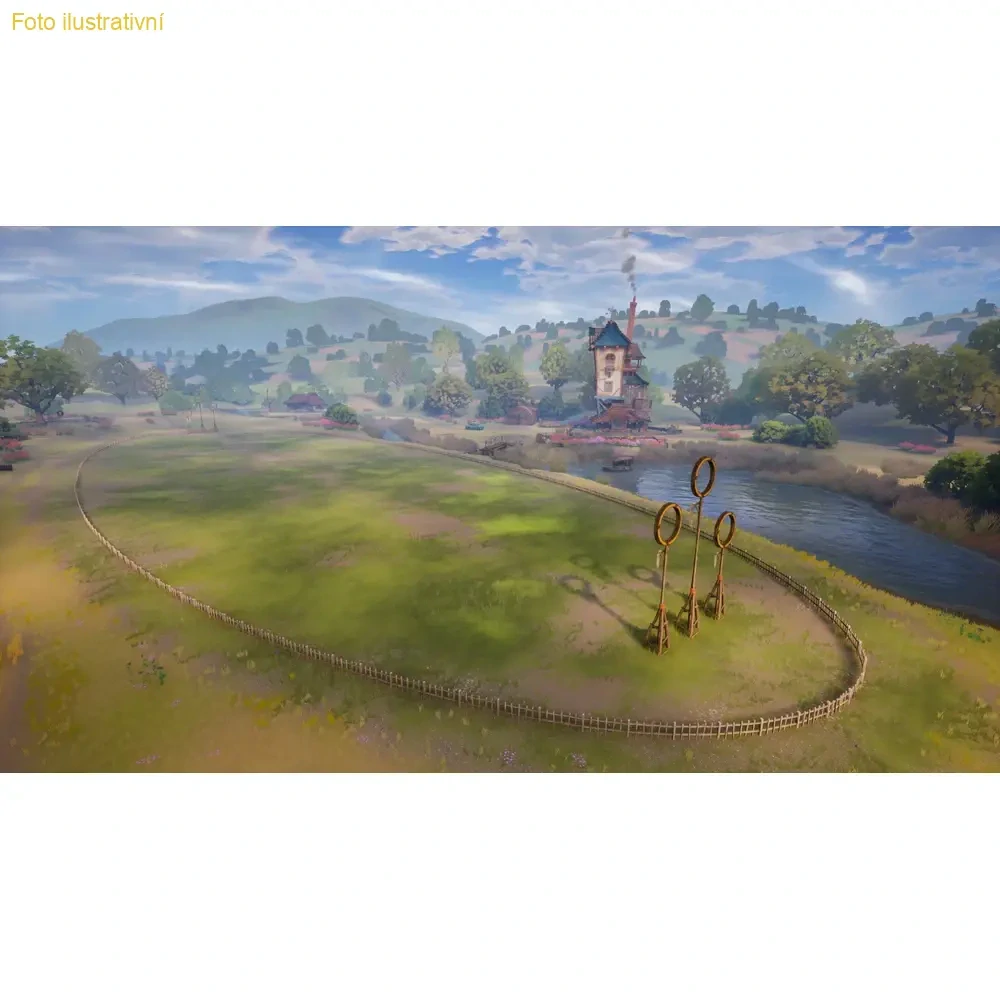 Harry Potter: Quidditch Champions Deluxe Edition (PS4)