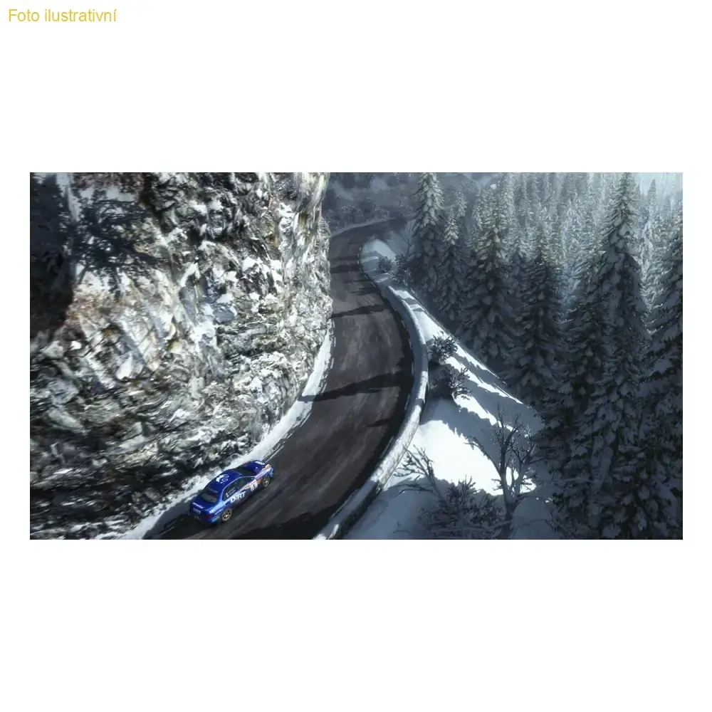 Dirt Rally (PS4)