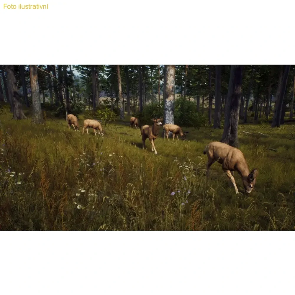 Way of the Hunter (PS5) (Nová)