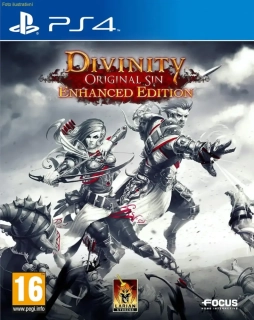 Divinity: Original Sin (PS4)
