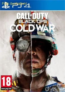 Call of Duty Black Ops Cold War (PS4)