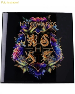 Obraz Harry Potter - Hogwarts Fine Oddities Crystal Clear Art Pictures (Nemesis Now)