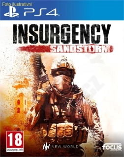 Insurgency: Sandstorm (PS4)