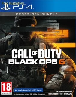Call of Duty: Black Ops 6 (PS4)